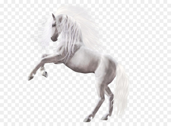 Horse Icon - White Horse Horse Icon - White Horse