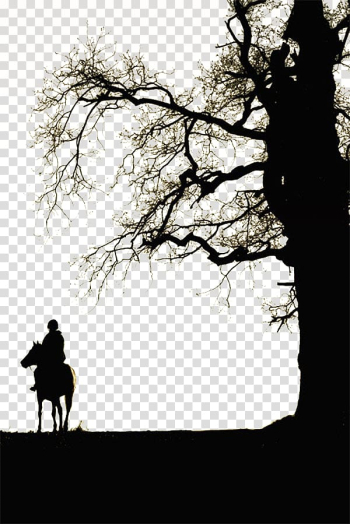 Horse Light Tree, Tree rider transparent background PNG clipart