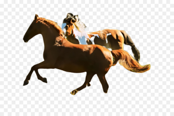 horse mustang horse stallion animal sports animal figure horse mustang horse stallion animal sports animal figure