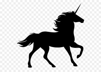 Horse Pony Rearing - horse Horse Pony Rearing - horse