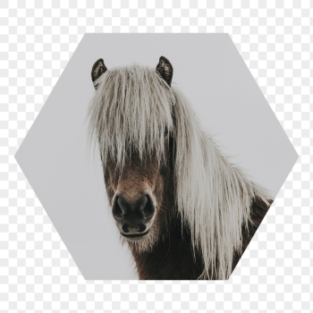 Horse portrait png badge sticker, | Free PNG - rawpixel Horse portrait png badge sticker, | Free PNG - rawpixel