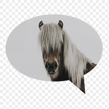 Horse portrait png badge sticker, | Free PNG - rawpixel Horse portrait png badge sticker, | Free PNG - rawpixel