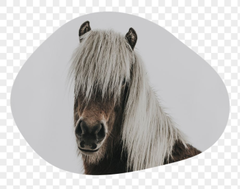 Horse portrait png badge sticker, | Free PNG - rawpixel Horse portrait png badge sticker, | Free PNG - rawpixel