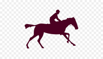 Horse racing Film Photography - horse Horse racing Film Photography - horse