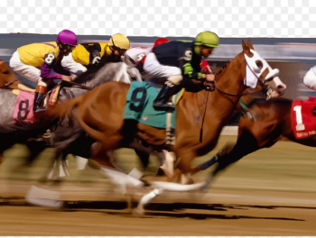Horse racing Sports betting Race track - Horse racing vector Horse racing Sports betting Race track - Horse racing vector