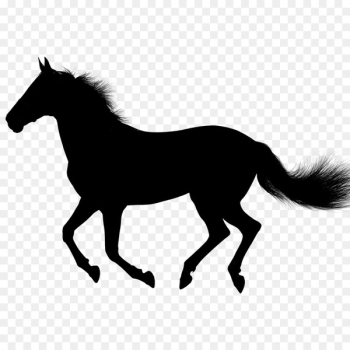 Horse, Rearing, Black, Mammal PNG Horse, Rearing, Black, Mammal PNG