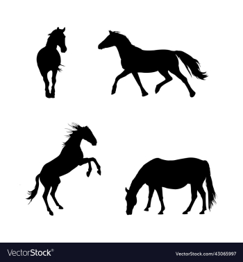 horse silhouette