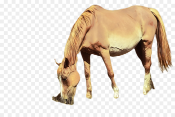 horse sorrel animal figure mare mustang horse horse sorrel animal figure mare mustang horse
