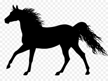 Horse, Tshirt, Sweatshirt, Mammal PNG Horse, Tshirt, Sweatshirt, Mammal PNG