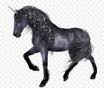 Horse Unicorn - Beautiful black horse Horse Unicorn - Beautiful black horse