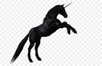 Horse Unicorn Cartoon Drawing - Horse cartoon picture material,Dark Horse 