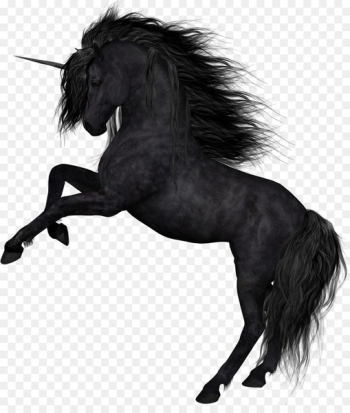 Horse Unicorn Collage Clip art - unicornio Horse Unicorn Collage Clip art - unicornio
