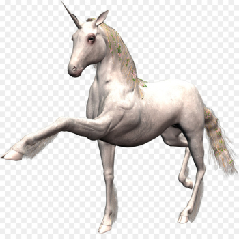 Horse Unicorn Desktop Wallpaper - unicornio 