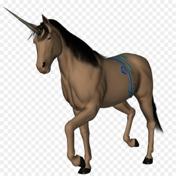 Horse Unicorn Fairy tale Legendary creature Mythology - horse 