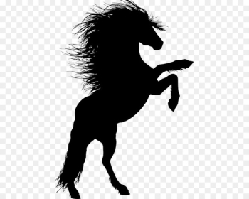 Horse Unicorn Legendary creature Silhouette - horse Horse Unicorn Legendary creature Silhouette - horse