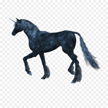 Horse Unicorn - unicorn Horse Unicorn - unicorn