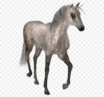 Horse Unicorn - unicorn Horse Unicorn - unicorn