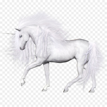 Horse Unicorn - unicorn Horse Unicorn - unicorn