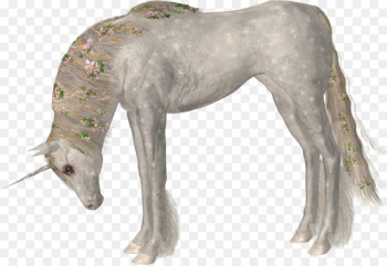 Horse Unicorn - unicorn Horse Unicorn - unicorn