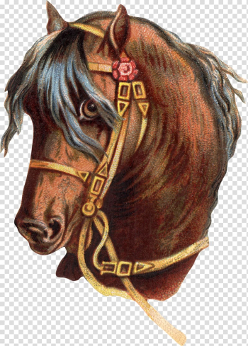 Horse , watercolor horse transparent background PNG clipart Horse , watercolor horse transparent background PNG clipart