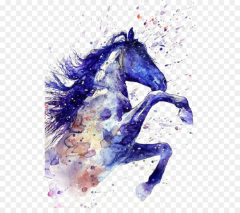 Horse Watercolor painting Tattoo Drawing - Drawing Ritmeester 