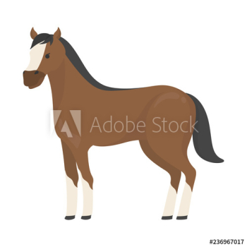 Horse wild or domestic animal Horse wild or domestic animal