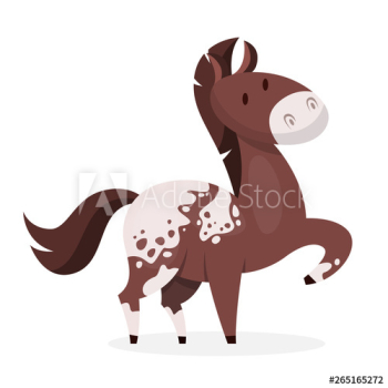 Horse wild or domestic animal Horse wild or domestic animal