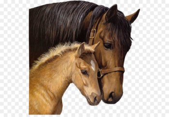 Horseland Foal Stallion Blingee - horse Horseland Foal Stallion Blingee - horse