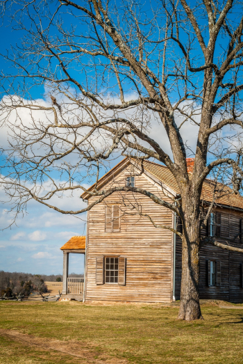 House House