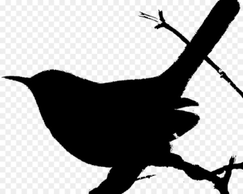 House wren Bird Houses Clip art - bird House wren Bird Houses Clip art - bird