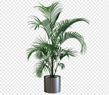 Houseplant Flowerpot Gardening Tree, Indoor plant potted plants, green leafed plant on metal pot, leaf, room, palm Tree png