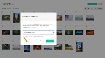 How do I edit or remove a Watermark? – Pixieset - Help Center