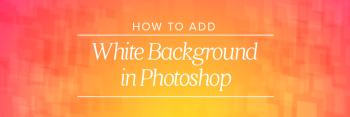 How to Add White Background in Photoshop for Photographers