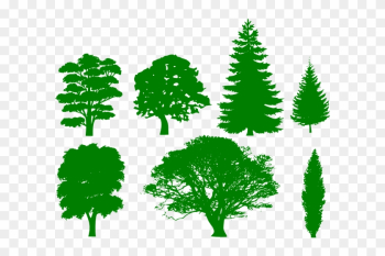 How To Set Use Green Trees Icon Png - Trees Silhouettes How To Set Use Green Trees Icon Png - Trees Silhouettes