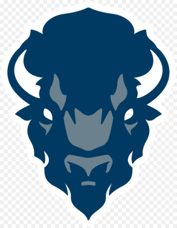 Howard University Howard Bison football Howard Bison men's basketball Howard Bison women's basketball Bethune Cookman University - basketball 