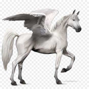 Howrse Arabian horse Unicorn Friesian horse - unicorn Howrse Arabian horse Unicorn Friesian horse - unicorn