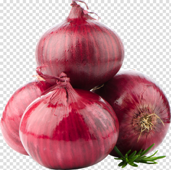 HQ Onion PNG Transparent Onion.PNG Images. | PlusPNG HQ Onion PNG Transparent Onion.PNG Images. | PlusPNG