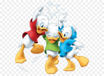 Huey, Dewey and Louie Donald Duck Daisy Duck Mickey Mouse The Junior Woodchucks - Donald Duck PNG 