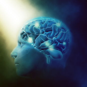 Human brain Human brain