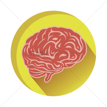 Human brain Human brain