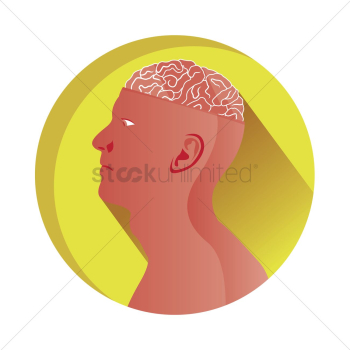 Human brain Human brain