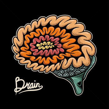 Human brain Human brain