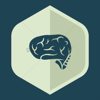 Human brain Human brain