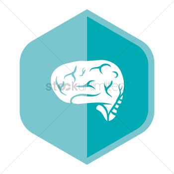 Human brain Human brain
