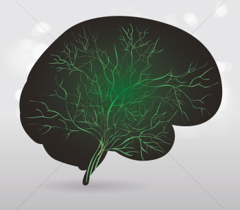 Human brain Human brain