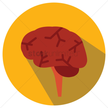 Human brain Human brain