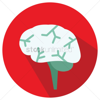 Human brain Human brain