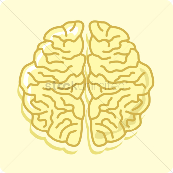 Human brain Human brain