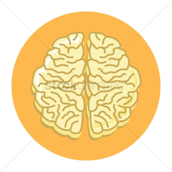 Human brain Human brain