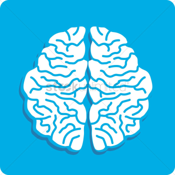 Human brain Human brain